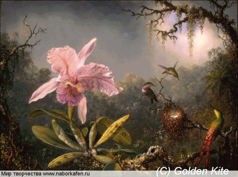 2332 Cattlea Orchid and Humming Birds (medium)