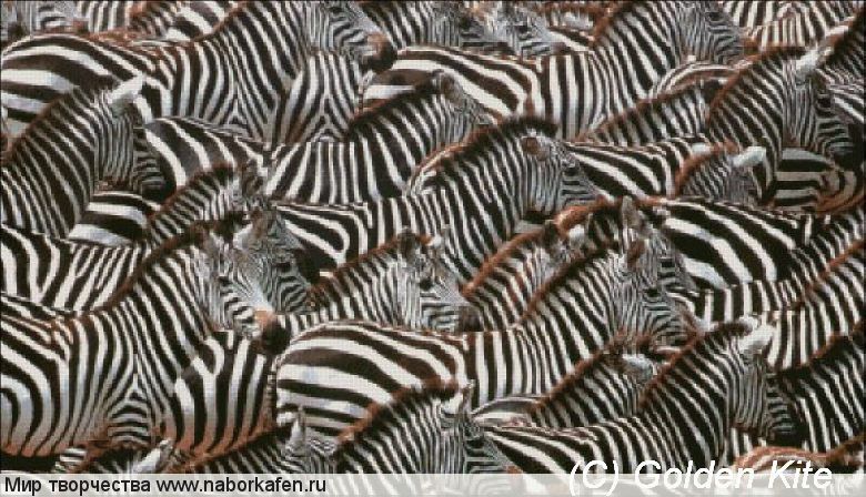 142 Zebras
