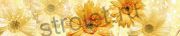 BS 52 - Желтые хризантемы#цветы