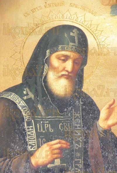 Икона Антоний Краснохолмский святитель (рукописная)