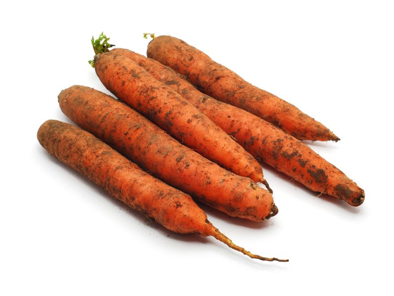 Морковь грязная