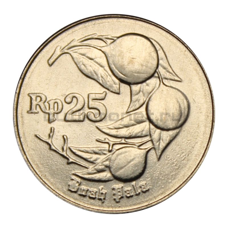 25 рупий 1996 Индонезия