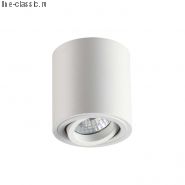 Потолочный накладной светильник ODEON 3567/1C белый