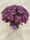 Букет из 15 хризантем кустовых фиолетовых
