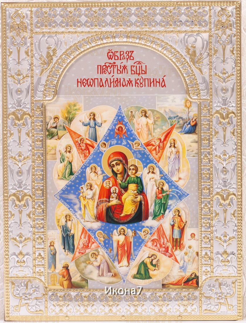 Неопалимая Купина икона Божией Матери (18х24см)