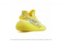 Adidas Yeezy boots 350 V2