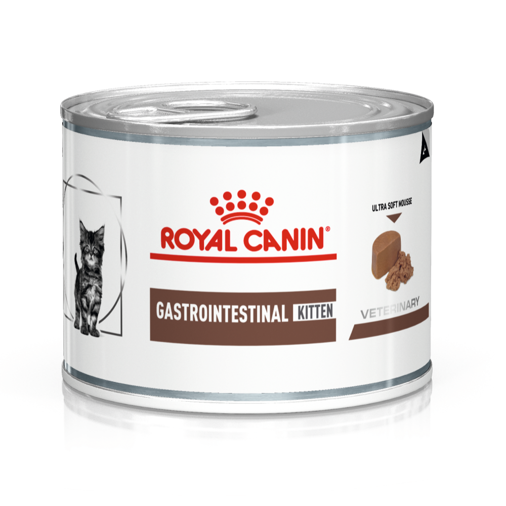 Преимущества влажного корма для котят Royal Canin