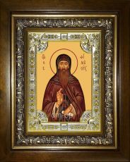 Икона Евфимий Суздальский преподобный (18х24)