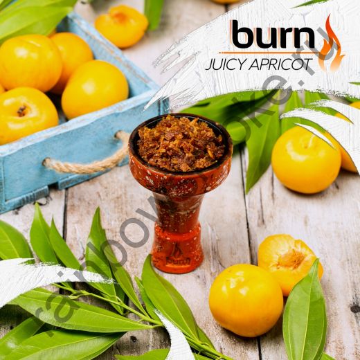 Burn 200 гр - Juicy Apricot (Сочный Абрикос)