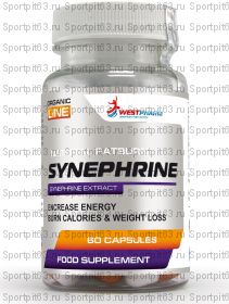 Synephrine Extract (60капс/120мг) (WestPharm)