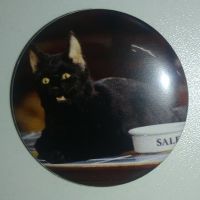 Значок (Средний 37 мм) Cat Salem Saberhagen