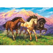 Алмазная раскраска Резвые лошади в поле Рыжий кот НД-1910