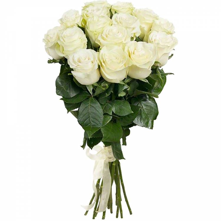 Розы белый Эквадор