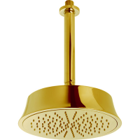 Верхний душ Cisal Shower DS01328024 золотой схема 2