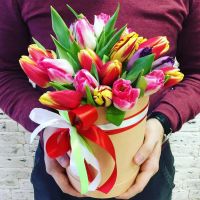 25 тюльпанов микс в шляпной коробке