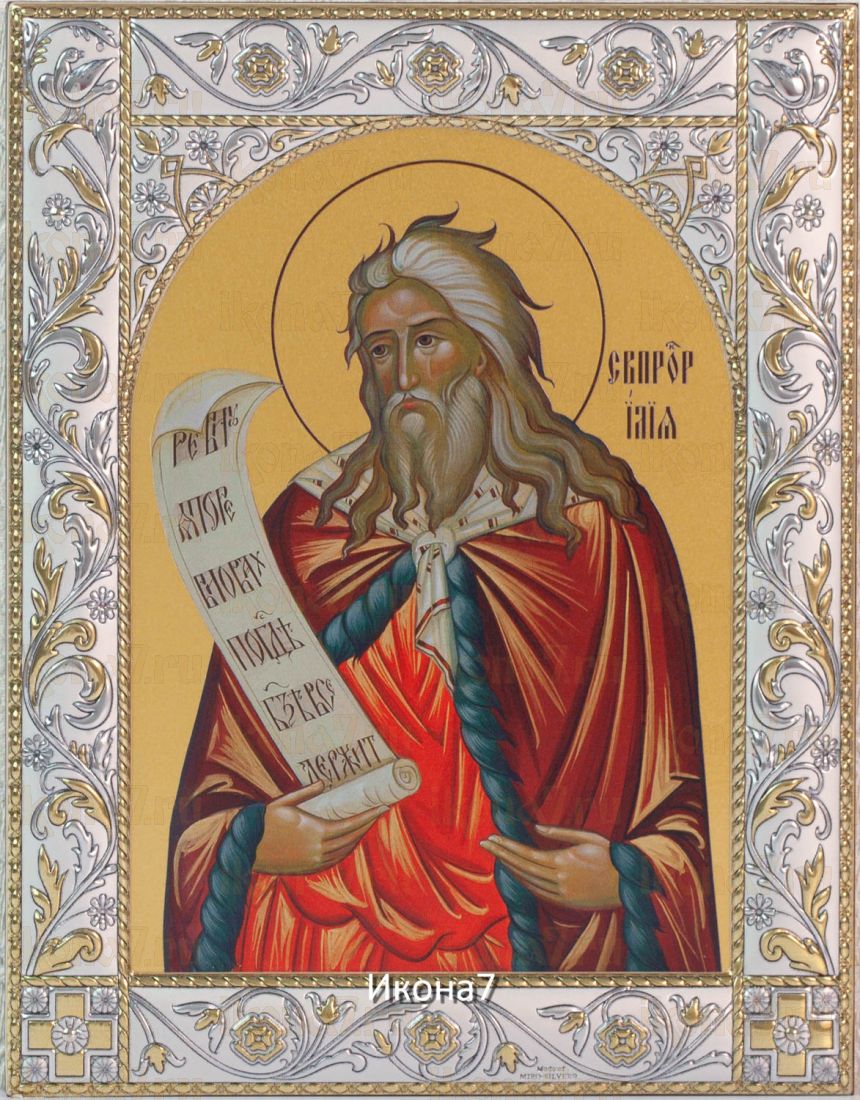 Икона Пророк Илия (14х18см)