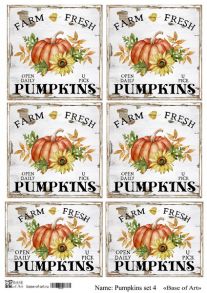 Pumpkins set 4