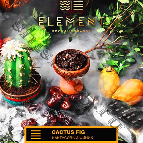 Element (40gr) (ЗЕМЛЯ) - Cactus Fig (Кактусовый финик)