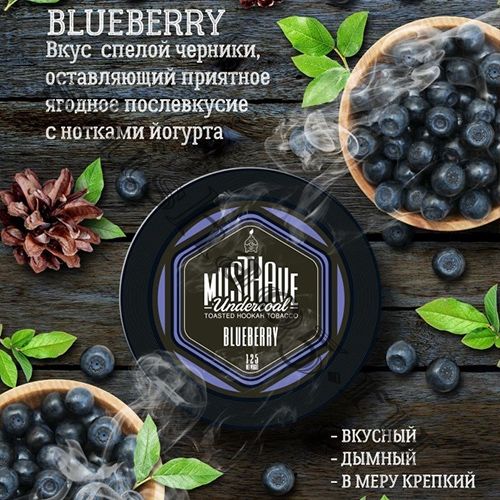 Must Have  (25gr) - Blueberry