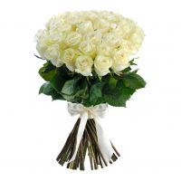 Белые розы 60 см (Эквадор)