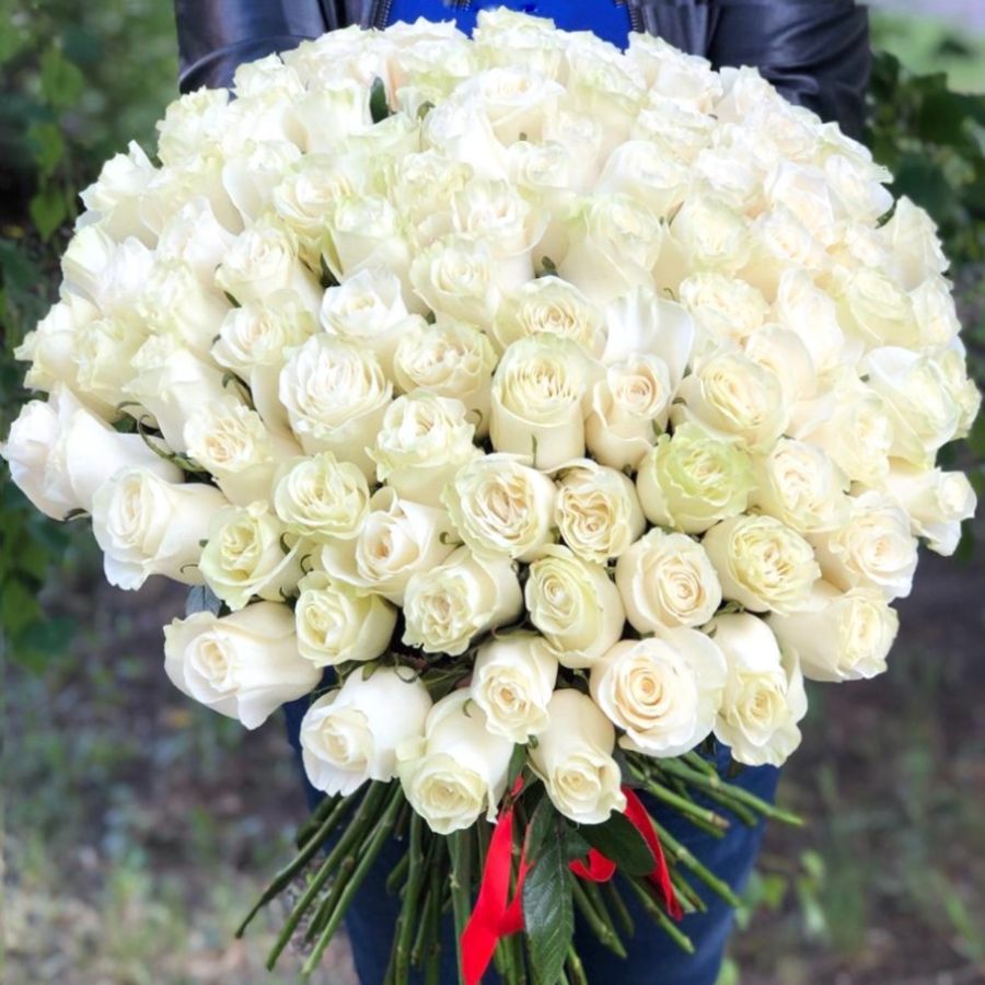 101 белая роза 50-60 см