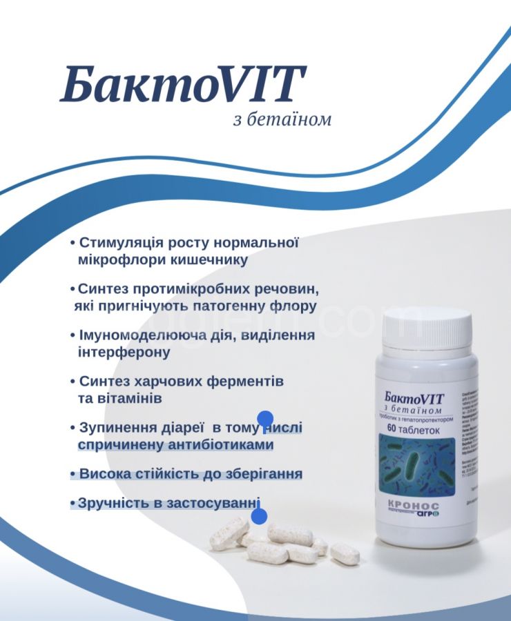 Пробиотики Бакто Vit с бетаином,60 таблеток