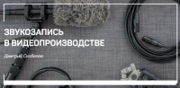 Звукозапись в видеопроизводстве (Дмитрий Скобелев)