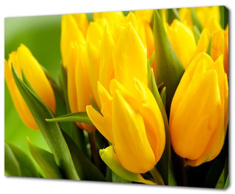 Картина на холсте Желтые тюльпаны