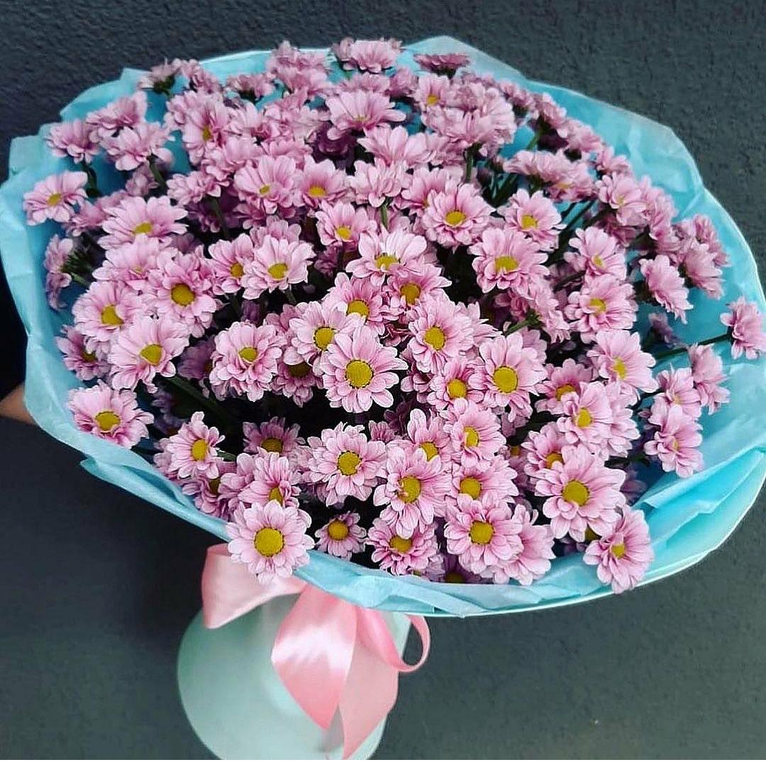 Букет из розовой хризантемы