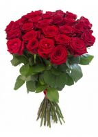 Розы Красные 70 см (от 15 штук)