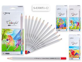 Набор цветных карандашей, 12 цветов, шестигранный серебряный корпус (арт. yl 830051-12)