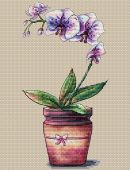 "Орхидея в горшочке". Схема для вышивания крестиком.