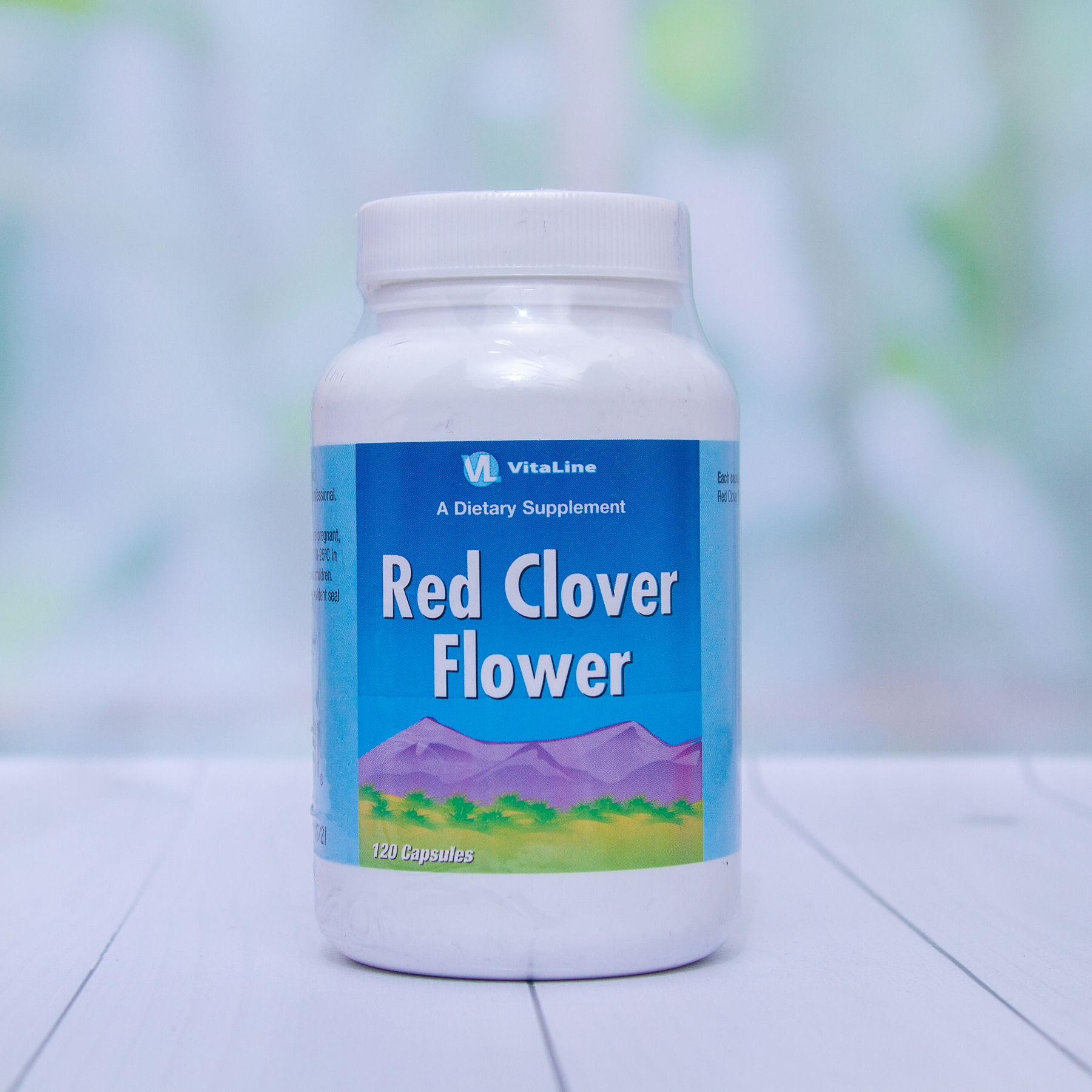 Цветки красного клевера (Red clover flower)