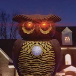 Ультразвуковой отпугиватель вредителей Owl Alert, (Сова), вид 5