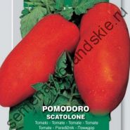 Томат "СКАТОЛОНЕ" (Scatolone) 10 семян