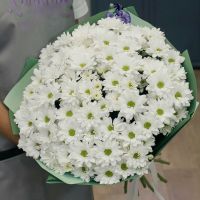 15 белых хризантем в красивой упаковке