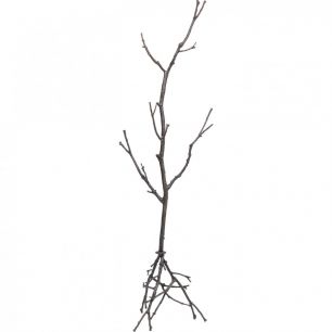 Вешалка Tree, коллекция "Дерево" 47*183*44, Алюминий, Коричневый