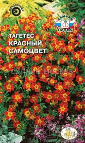 Тагетес Красный Самоцвет (СеДек)