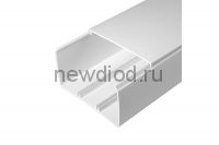 Кабель-канал белый 2-й замок в п/э 100х60 (16м/уп) Промрукав