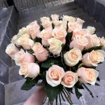 Кремовые розы «Талея»
