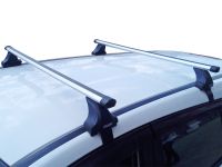 Багажник на крышу Renault Arkana, Атлант, аэродинамические дуги Эконом, опора Е