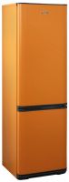 Холодильник Бирюса T627 Оранжевый