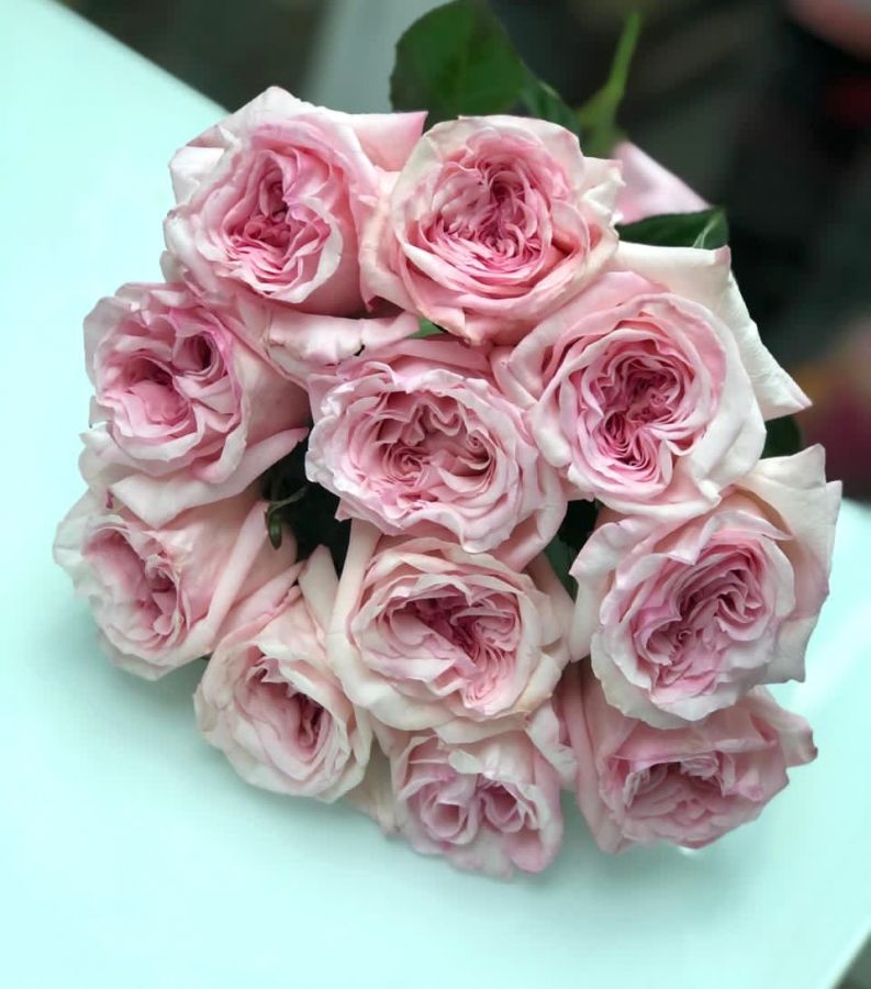 9 пионовидных роз "Pink O'hara"