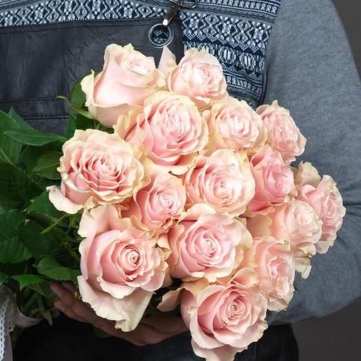 Букет из роз 15 штук, Эквадор (нежно-розовые)