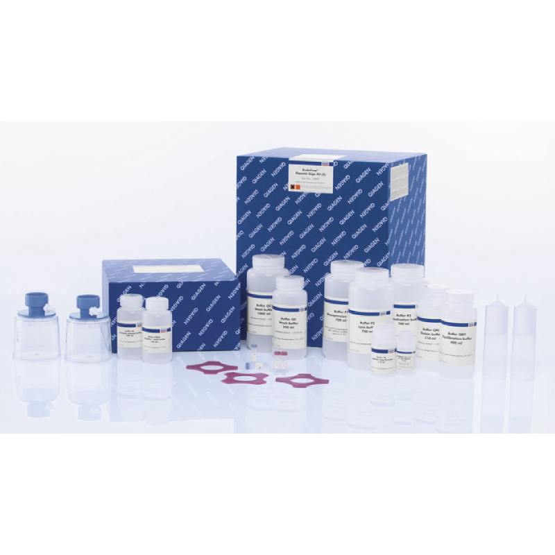 Набор QIAGEN EndoFree Plasmid Maxi Kit для выделения плазмидной ДНК без эндотоксинов