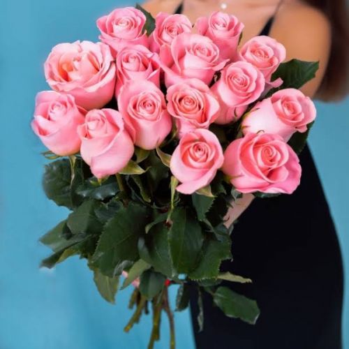 Розовые розы Эквадор 50см