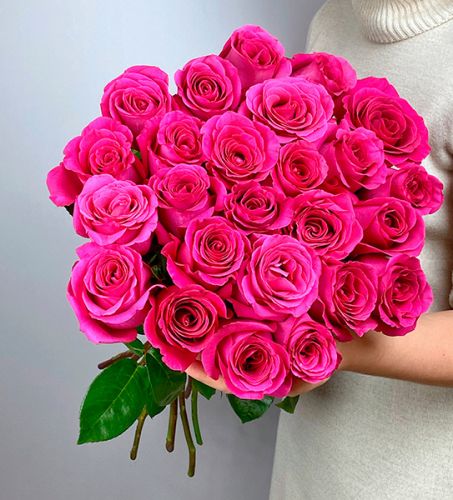 Малиновые розы Эквадор Premium 60 см