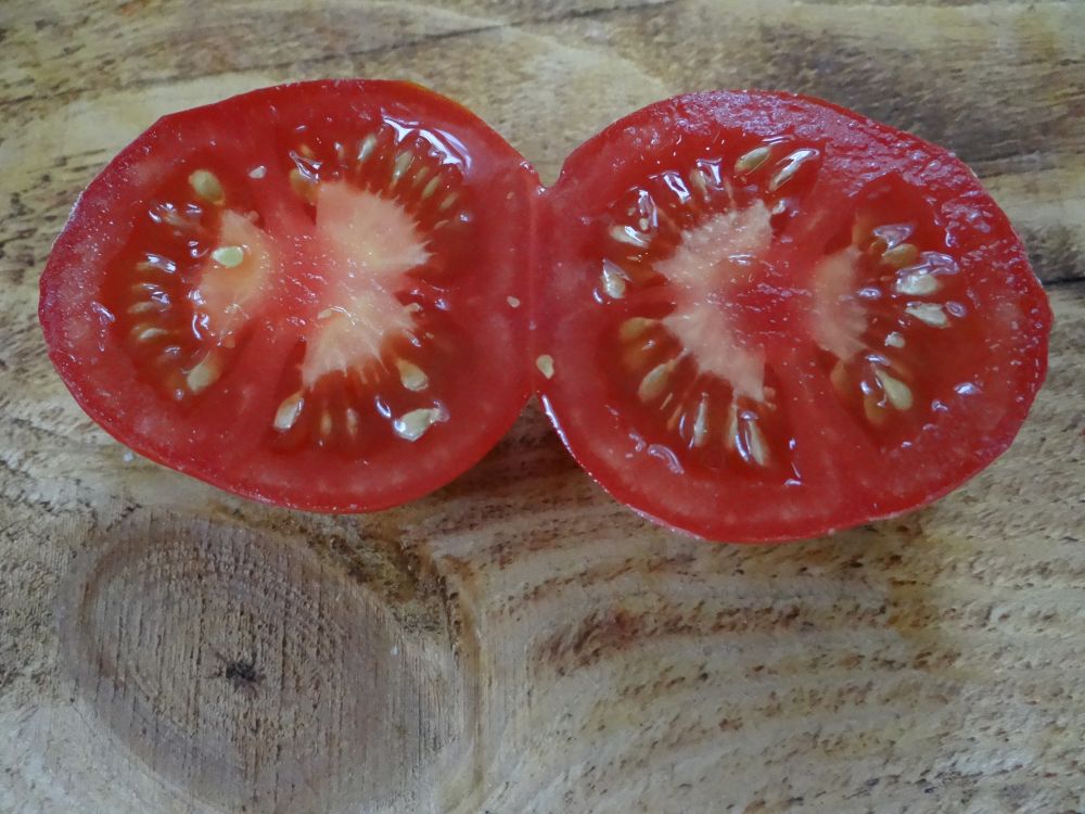 Томат Stad tomate (Городской томат, Германия)