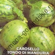 Огурец "КРУГЛАЯ КАРУСЕЛЬ МАНДУРИИ" (Carosello Tondo di Manduria) 10 семян