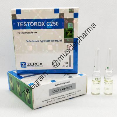 Testorox C250 (ЦИПИОНАТ). ZEROX. 1 амп * 1 мл.
